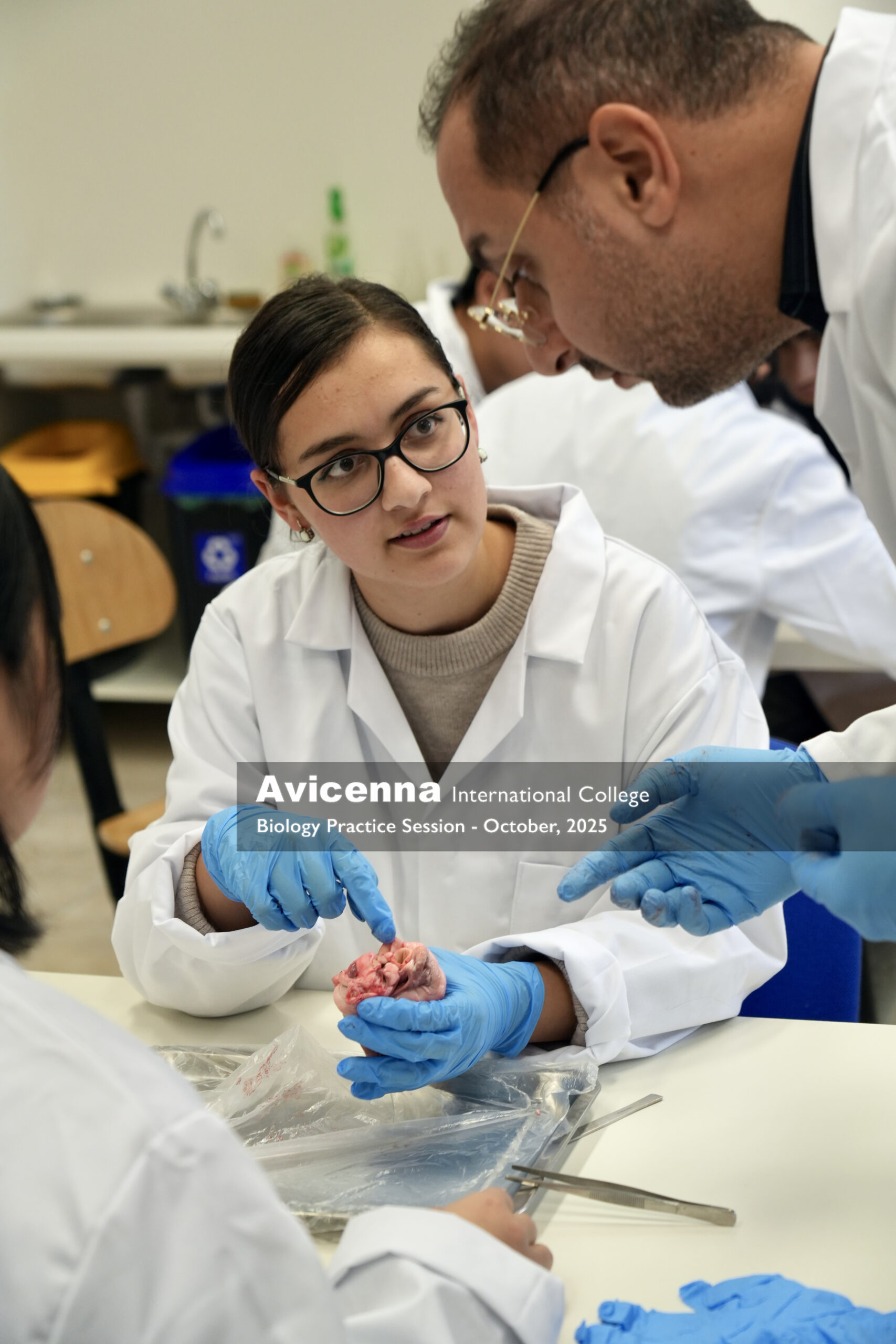 AIC-Erasmus-Malta-Certificate AIC-Erasmus-Malta-Certificate