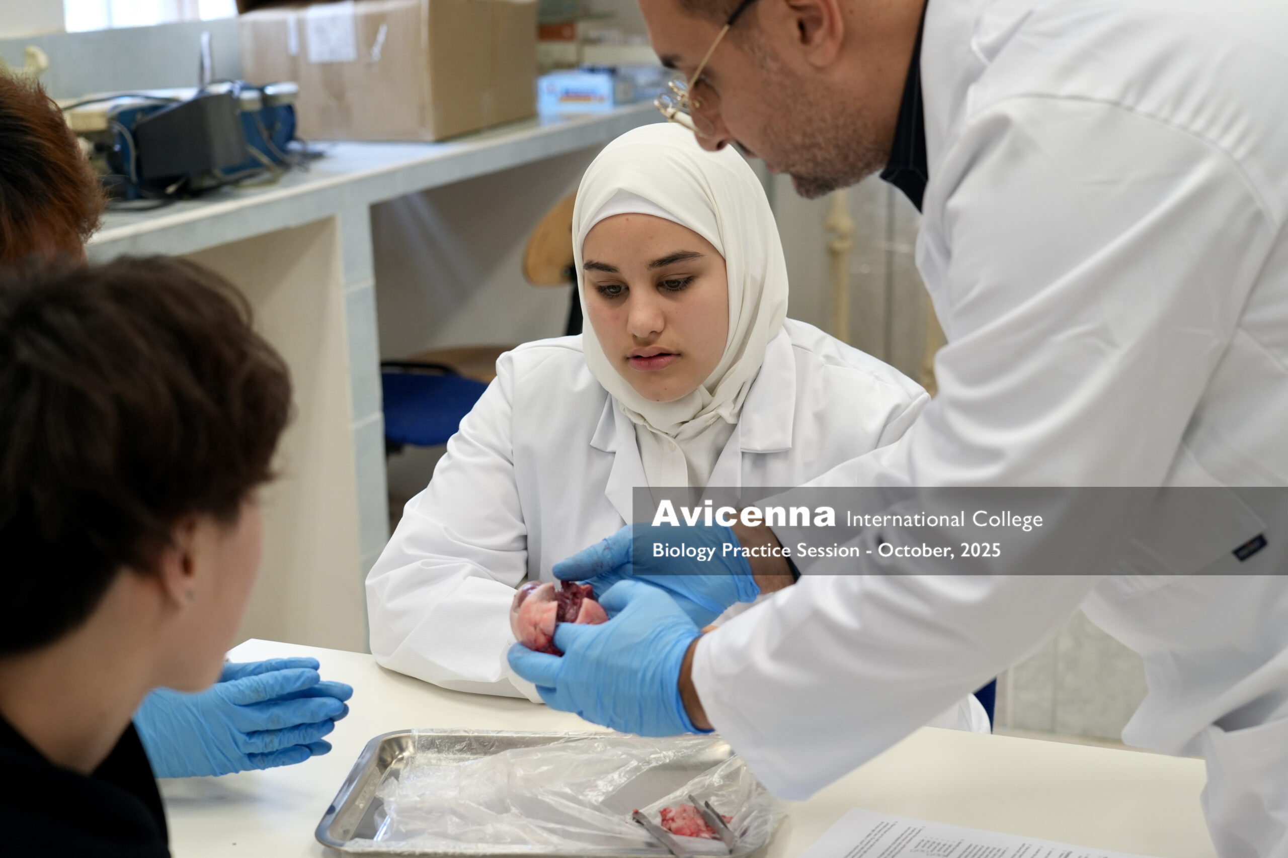 AIC-Erasmus-Malta-Certificate AIC-Erasmus-Malta-Certificate