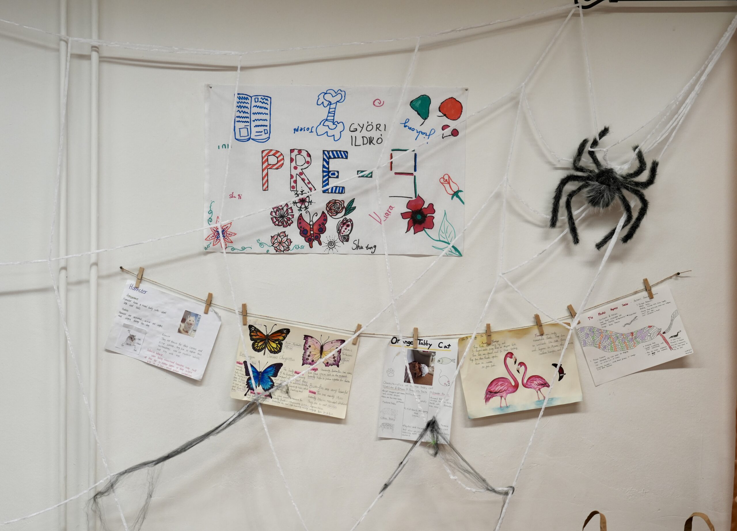 AIC-Erasmus-Malta-Certificate AIC-Erasmus-Malta-Certificate