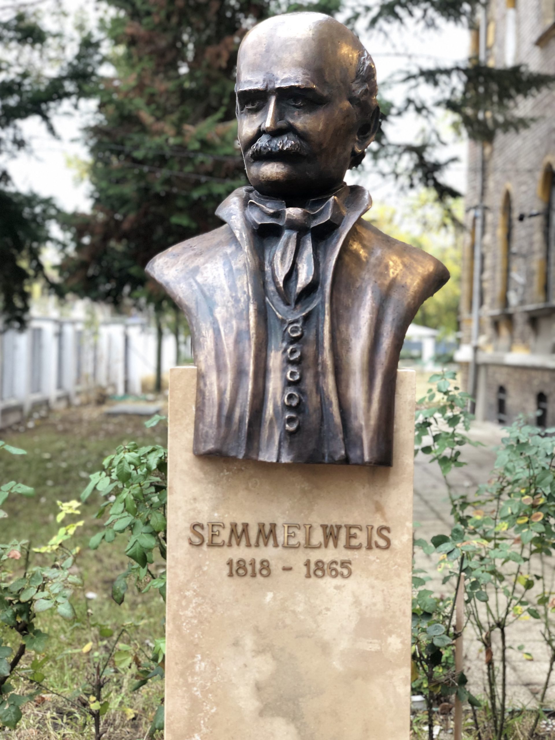 Semmelweis Statue