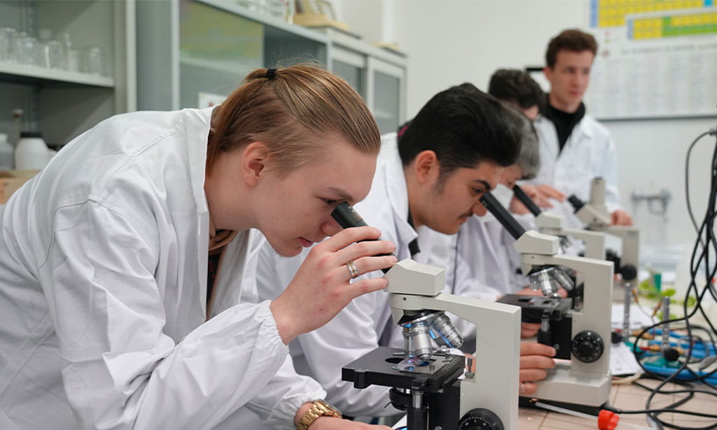 Avicenna Diploma in Pre-Medical Studies