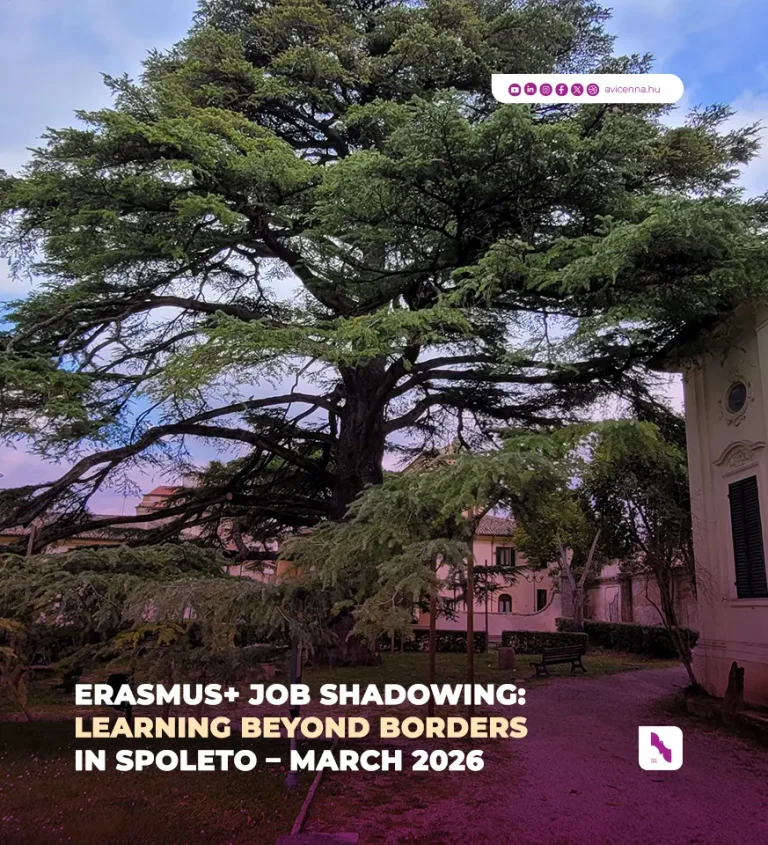 30 Erasmus+ Job Shadowing Learning Beyond Borders in Spoleto - March 2026 watermark 873x960 which x1,5 scale to 582x640 how Mohammad and Arash Atshani wanted
